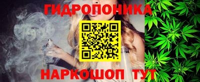 стафф Моздок