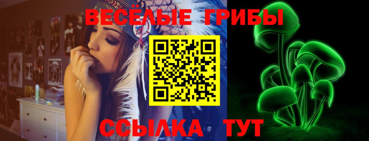 Благодарный  Псилоцибиновые грибы Psilocybine cubensis  Вход с VPN 